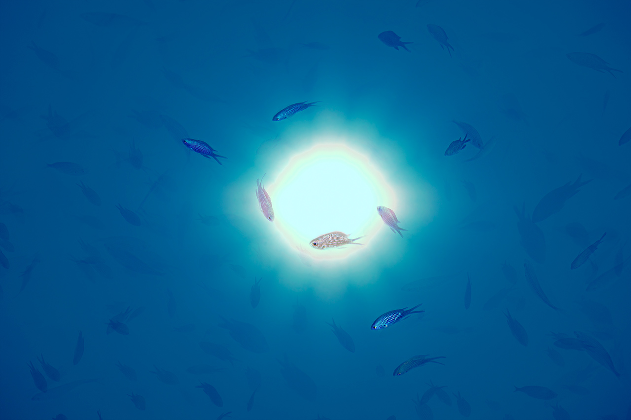 slider_ats_04